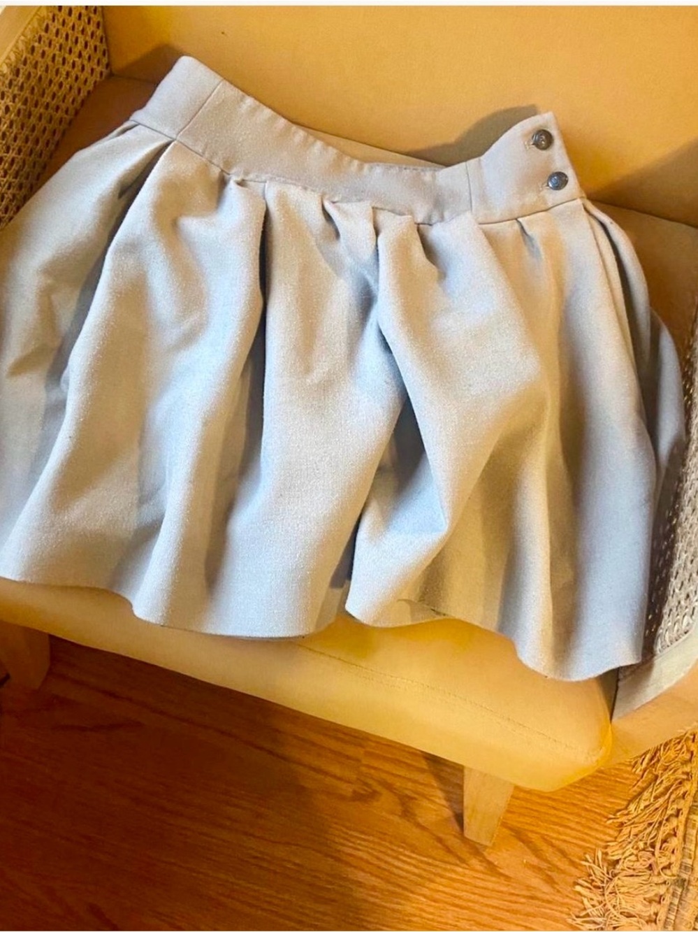 Zara Pleated Skater Mini Skirt